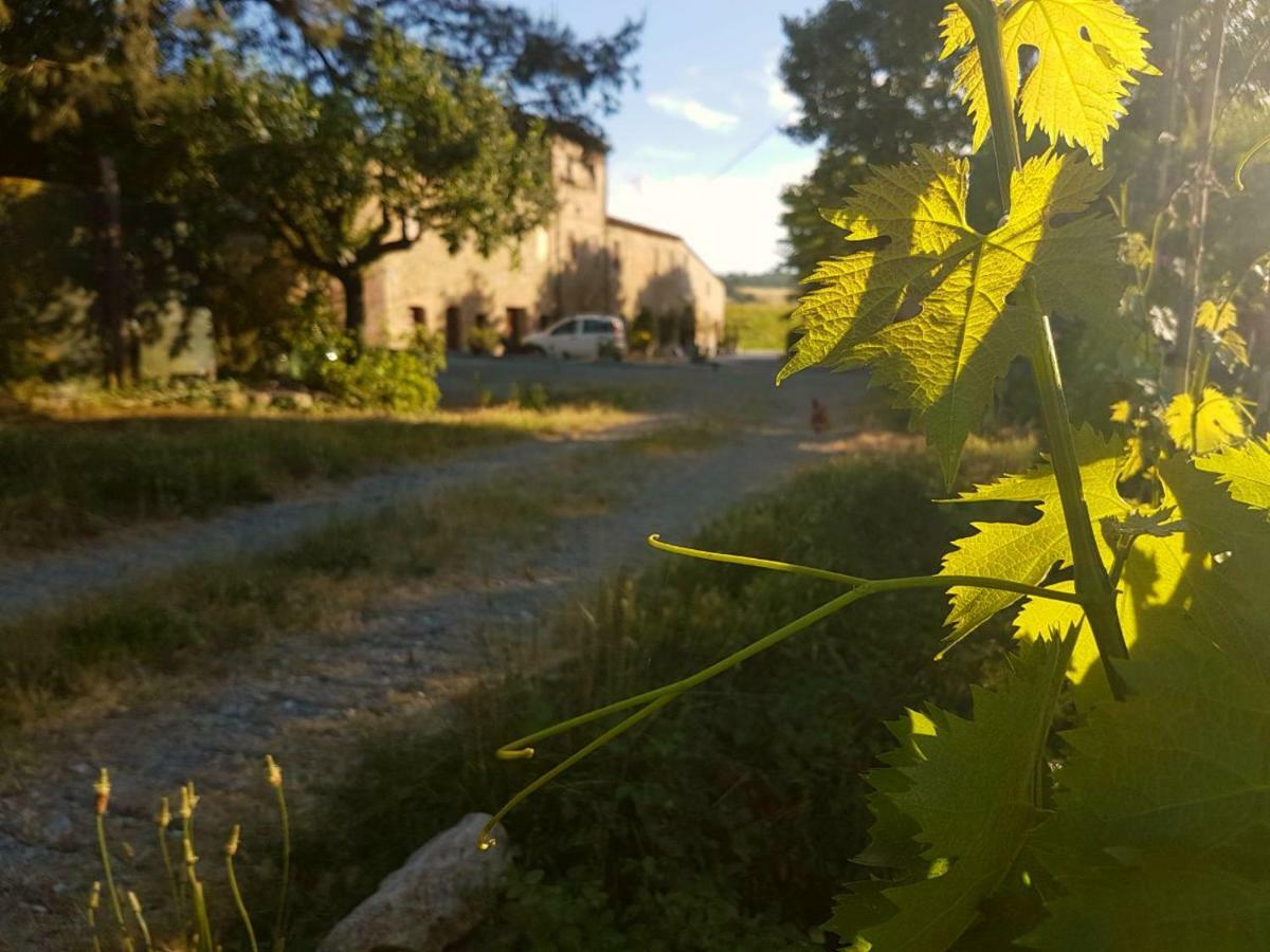 Agriturismo Podere Molino ペッチョリ エクステリア 写真