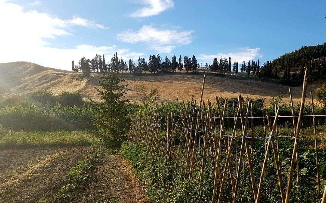 Agriturismo Podere Molino ペッチョリ エクステリア 写真