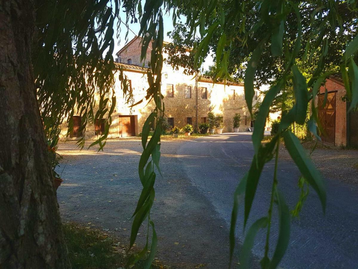 Agriturismo Podere Molino ペッチョリ エクステリア 写真
