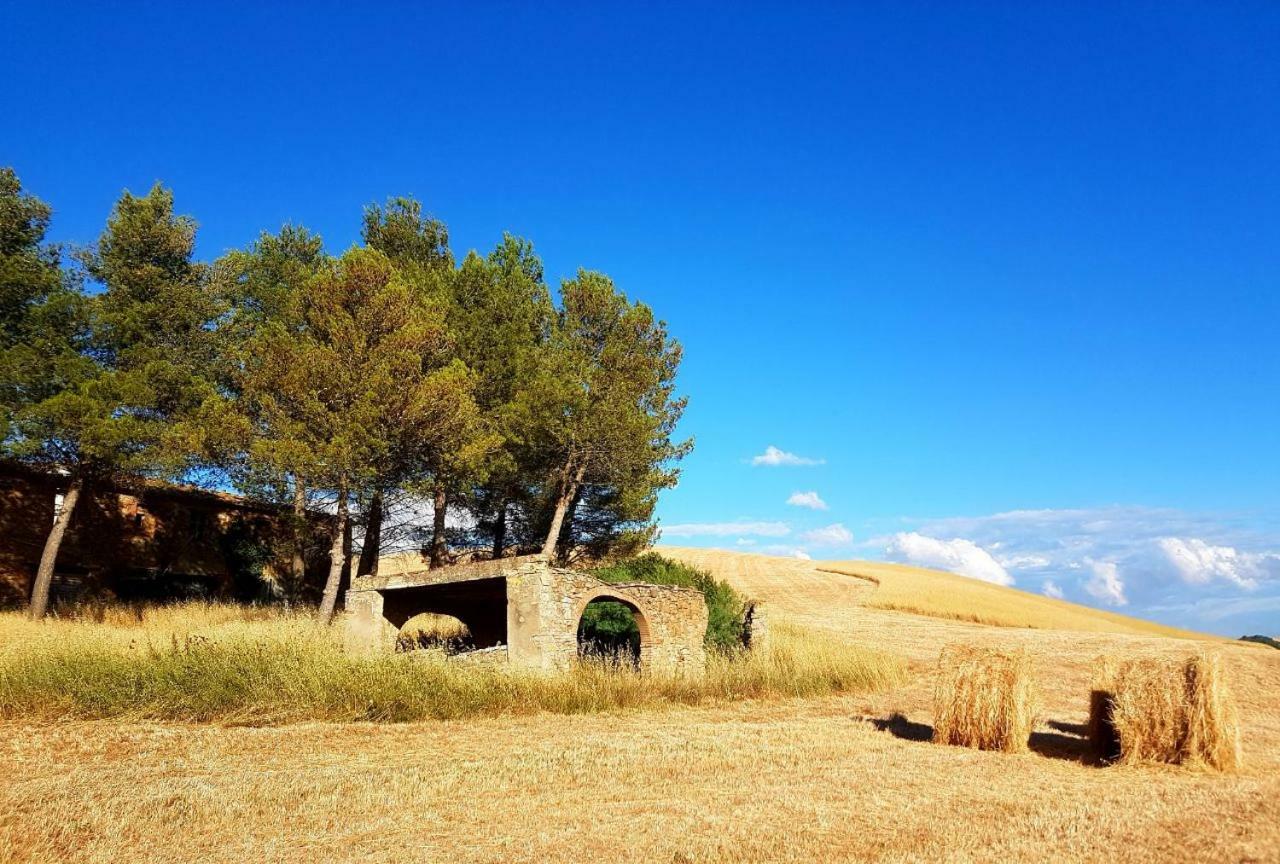 Agriturismo Podere Molino ペッチョリ エクステリア 写真