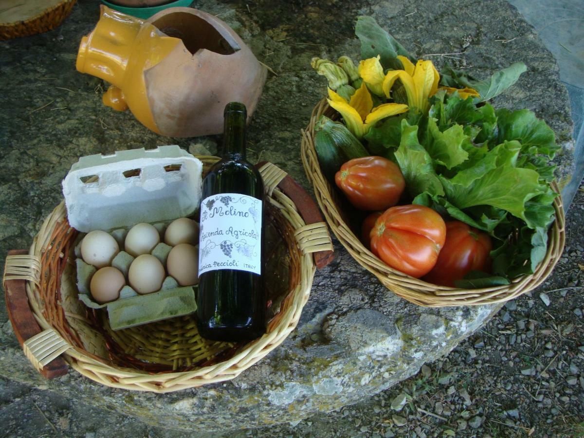 Agriturismo Podere Molino ペッチョリ エクステリア 写真