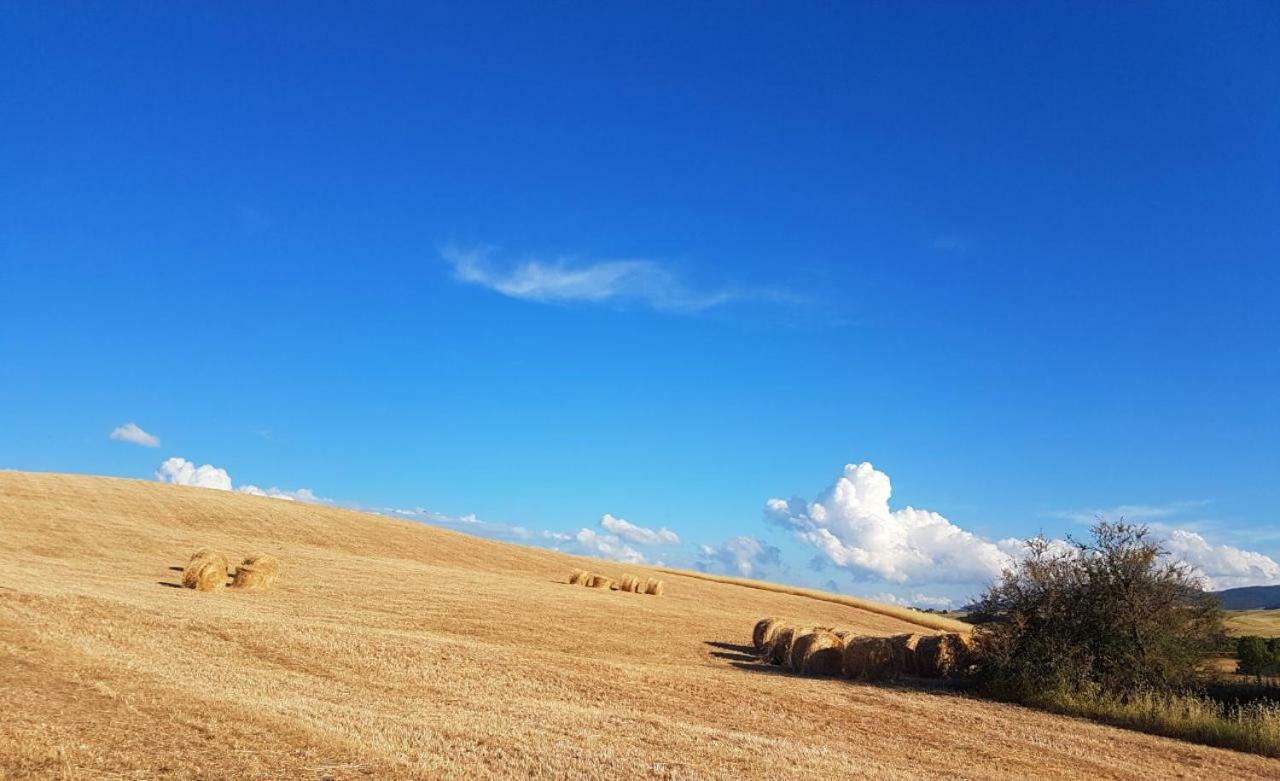 Agriturismo Podere Molino ペッチョリ エクステリア 写真