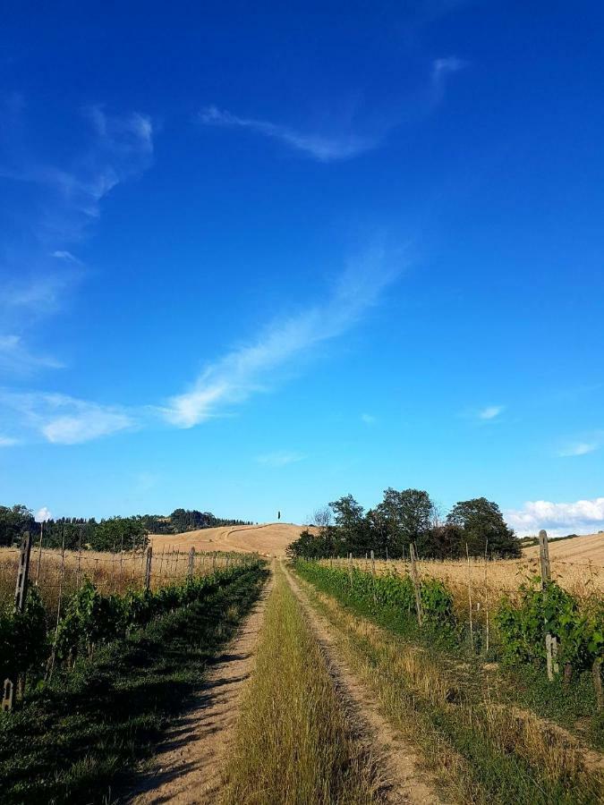 Agriturismo Podere Molino ペッチョリ エクステリア 写真