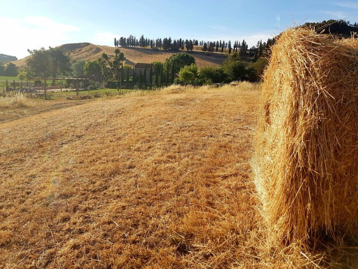 Agriturismo Podere Molino ペッチョリ エクステリア 写真