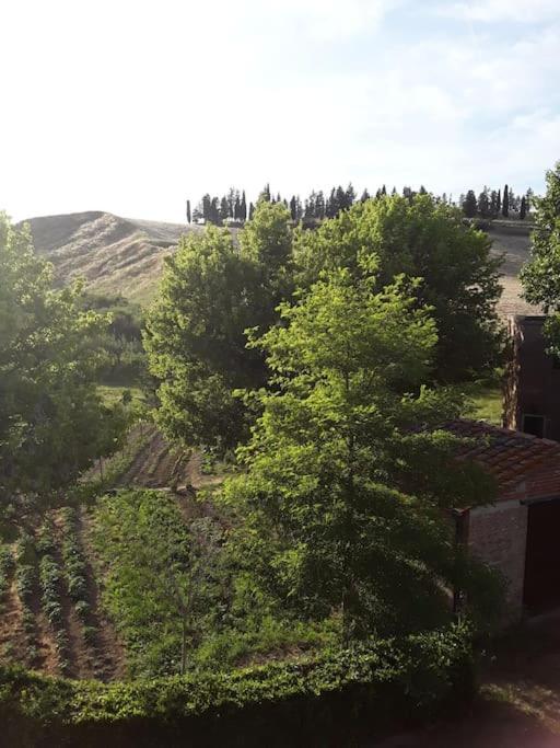 Agriturismo Podere Molino ペッチョリ エクステリア 写真