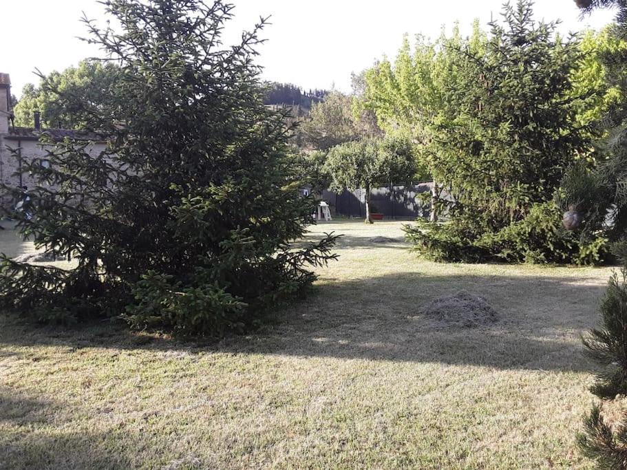 Agriturismo Podere Molino ペッチョリ エクステリア 写真